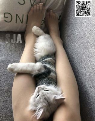 危机四伏电影完整版在线观看高清