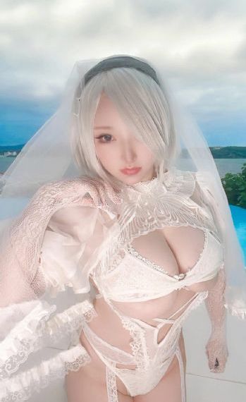 《珠帘玉幕